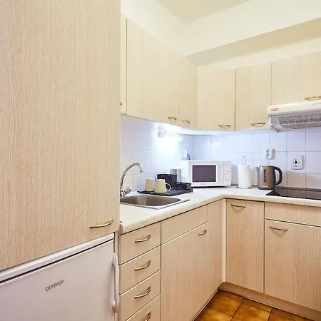 Apartment Lanovka